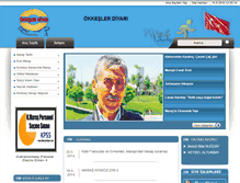 Tablet Screenshot of okkeslerdiyari.com
